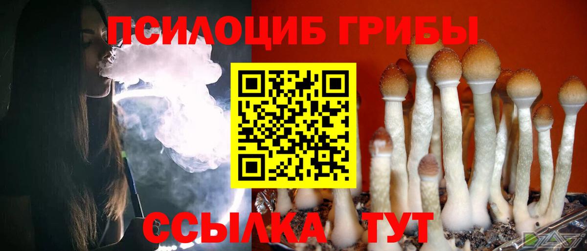 Псилоцибиновые грибы Cubensis  Вход с VPN  Галлюциногенные грибы мицелий  Керчь 